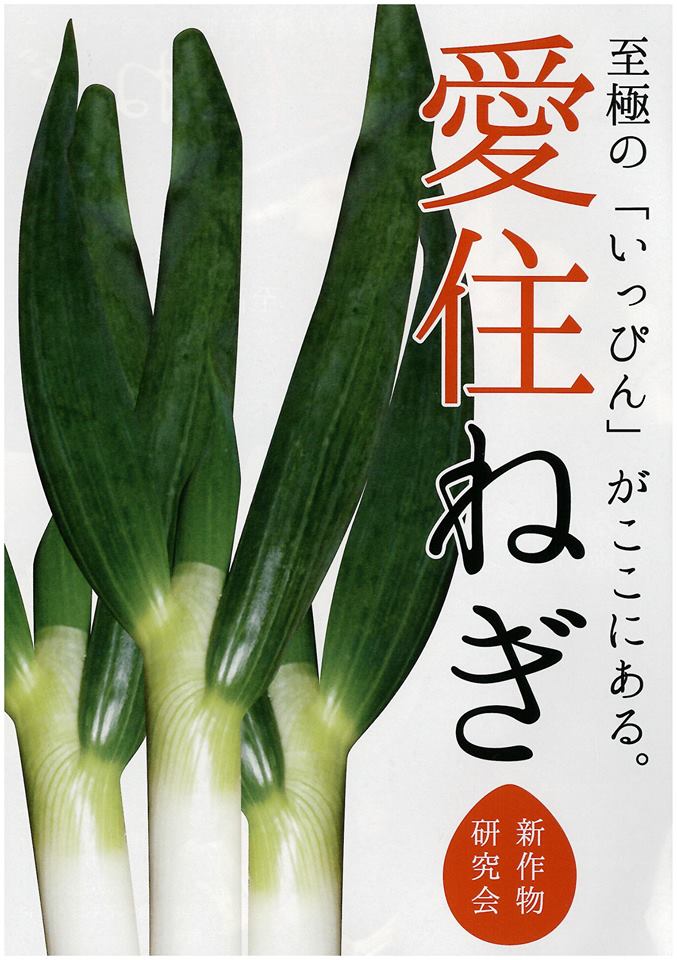 愛住ねぎ