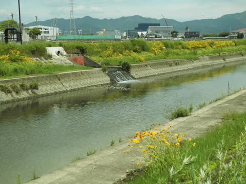 正法寺川沿い