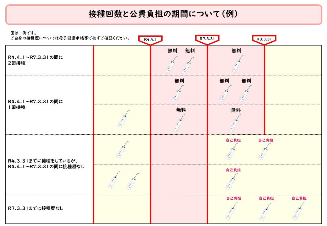 接種回数と公費負担の期間について